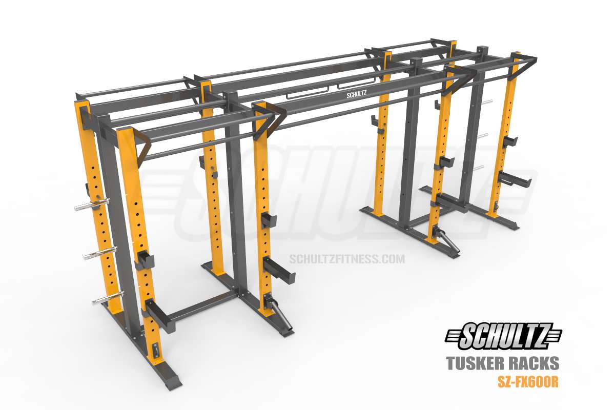 stand alone crossfit rig india